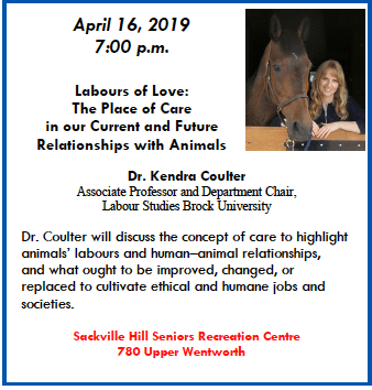 Screen Shot 2019-03-22 at 11.02.12 AM