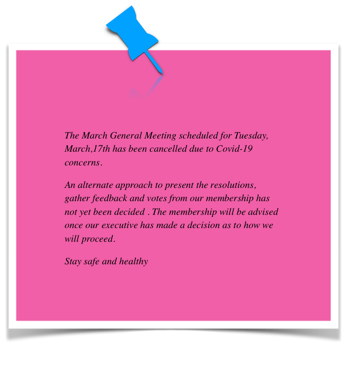 Screen Shot 2020-03-12 at 10.02.56 PM