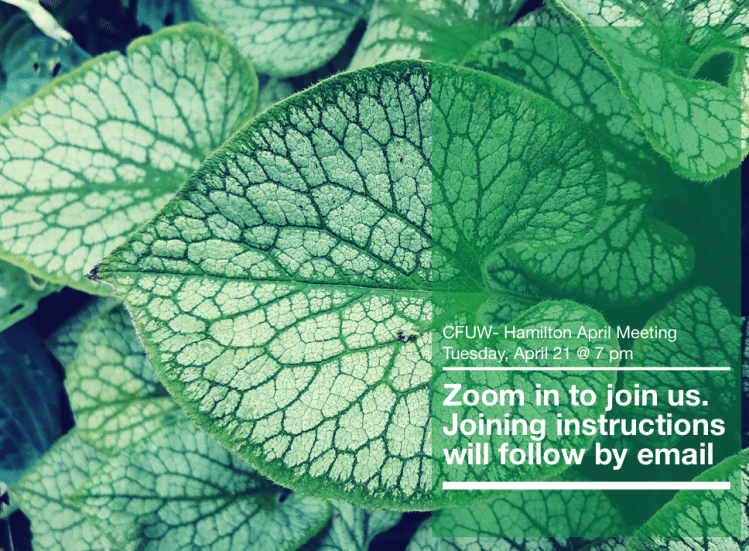 Screen Shot 2020-04-08 at 2.03.16 PM